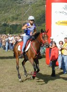 Falene de la drome