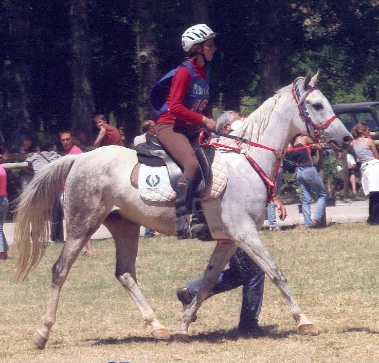 Eljamir