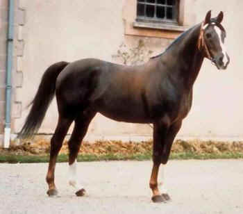 BOSPHORE