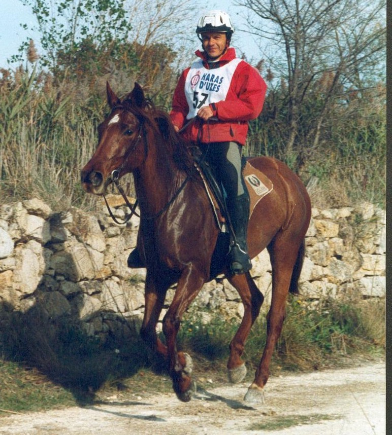 historia azureenne