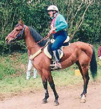 gus de sky