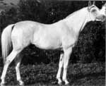 kankan